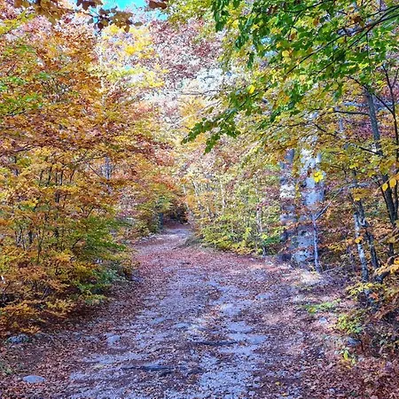 House Hidden Nest 別荘 モスタル