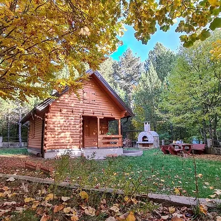 別荘 House Hidden Nest