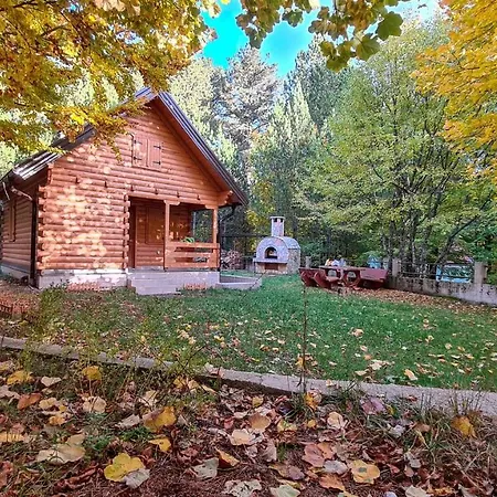 House Hidden Nest 別荘